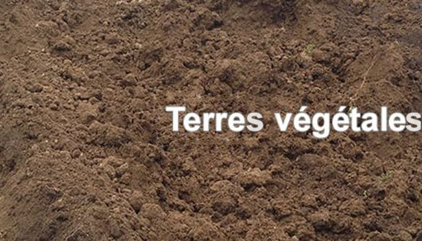 Terre maraichère