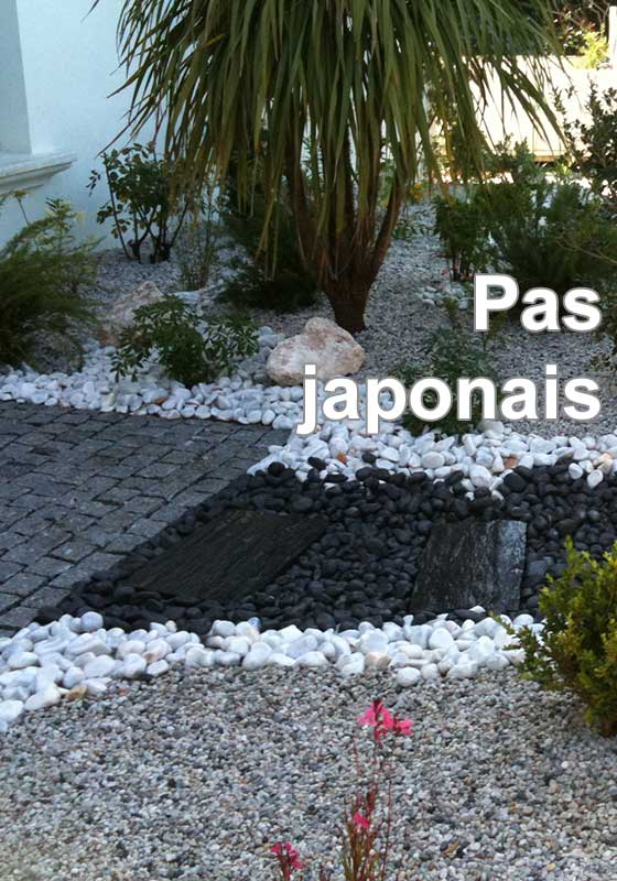 Pas japonais