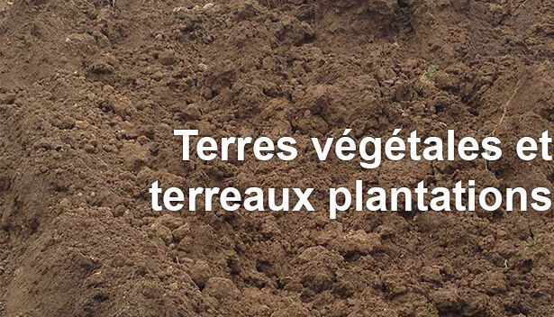Terre maraichère